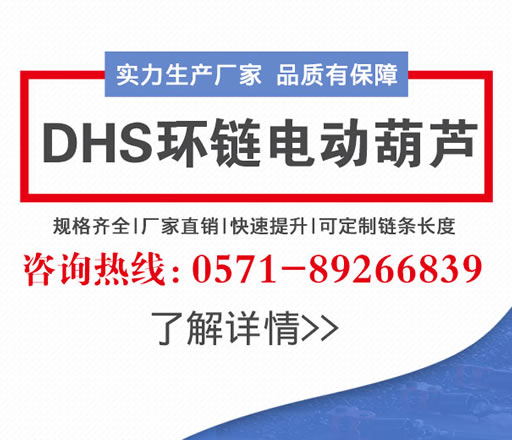 起重滑車(chē)都有哪些種類(lèi)？